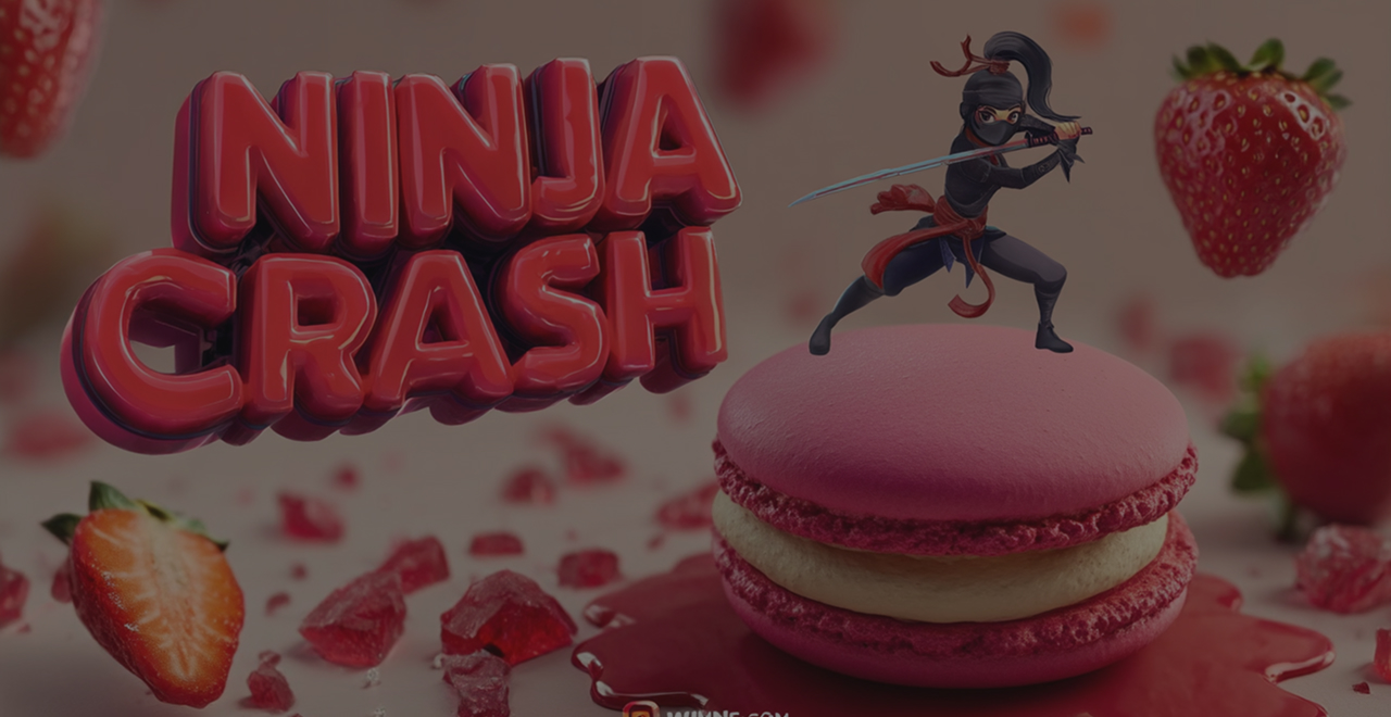 Ninja Crash
